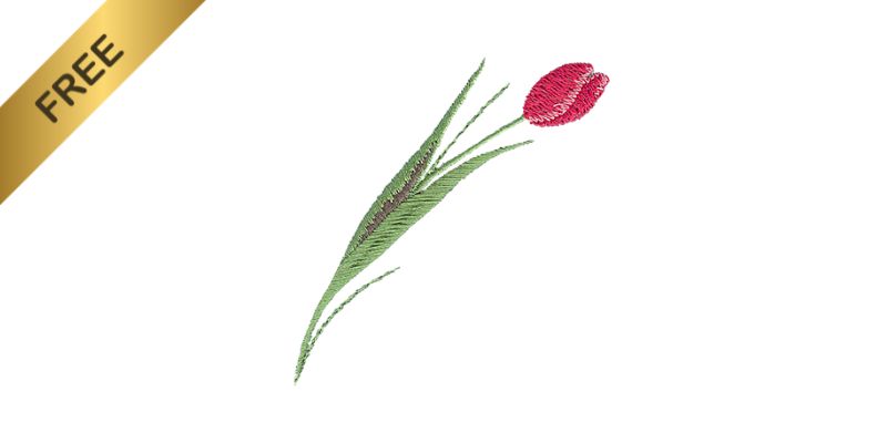 free tulip flower design